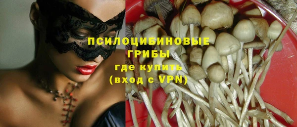 таблы Алексин