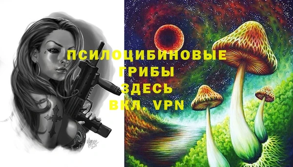 таблы Алексин